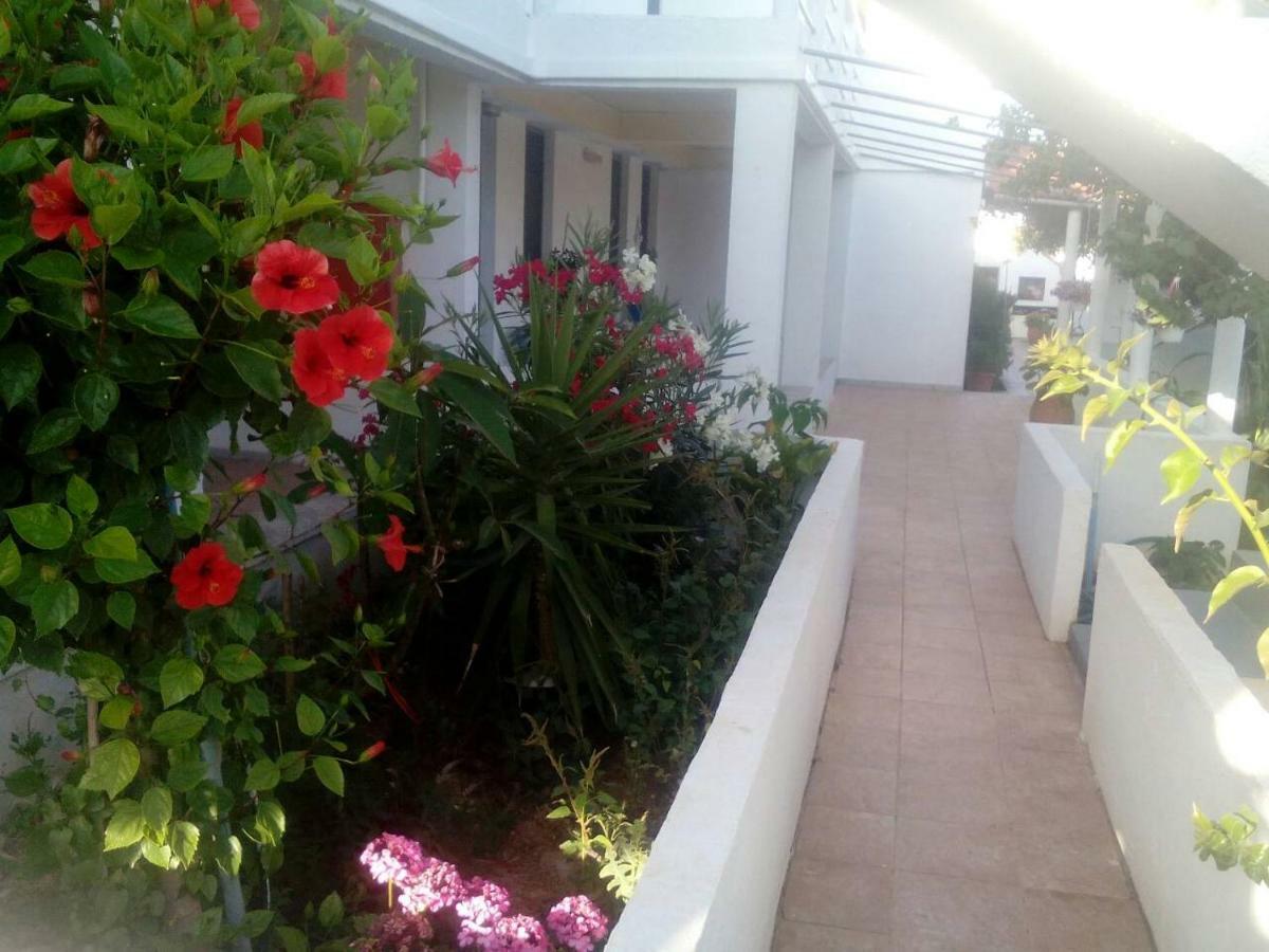 Villas Irene 5 Family Apartments Kokkini Hani Екстериор снимка